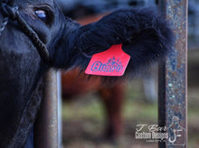 Load image into Gallery viewer, Custom Large Cow Tag